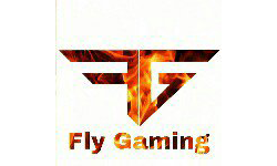 Fly Gaming