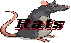 The Dota Rats