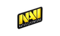 Na'Vi | Fans