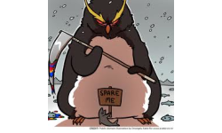 Evil Penguin's team