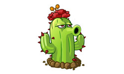 Cocktus