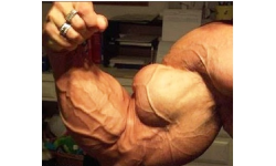 TeamBiceps#1