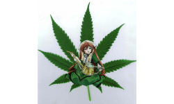 DrGanja