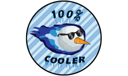 100% Cooler Fury