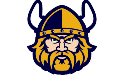 Hull Vikings