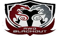BLACKOUT (Ater Wing Dragons)