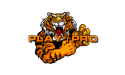 .Play4Pro