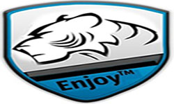 World Team Enjoy