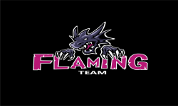 Team Flaming