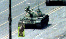 Tanks Out for Harambe