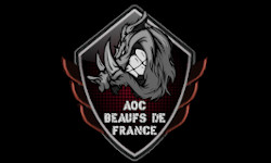 AOC Beaufs de France Noob Edition