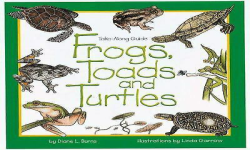 Toads and Turtles
