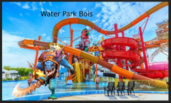 Water Park Bois