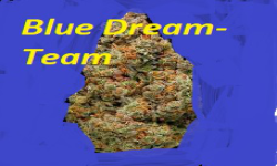 Blue Dream-Team