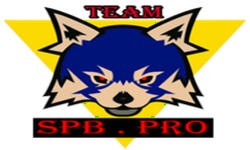 Team.SPB PRO.Dota2