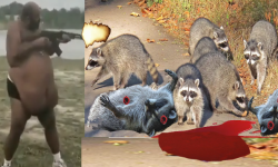 Raccoon Slayers