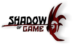 Shadow  Of Game