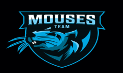 MOUSE TEAM