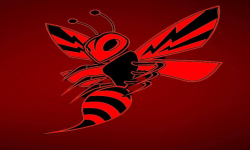 Red Hornet