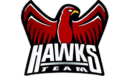 Hawks Team
