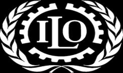 Team Ilo