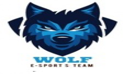 Wolf E-Sports Team