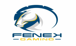 Fenek Gaming