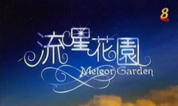 Meteor Garden