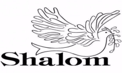 Shalom Esports