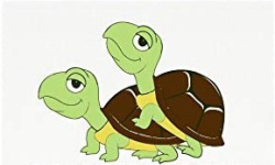 Glad Tortoises