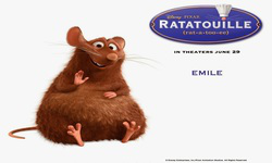 TEAM RATATOUILLE