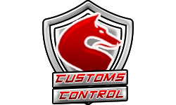 Custom Control