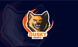 Dusky eSports