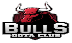 Bulls Dota Club 