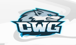 Celestial Wolves Gaming