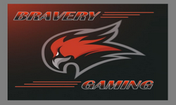 Bravery Gaming