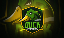 Ducks Gaming