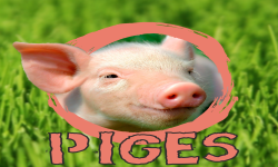 Piges