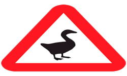 Agility Goose