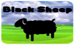 Black Sheep!