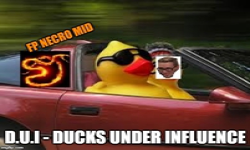 Ducks Under Influence