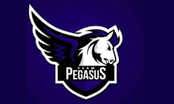 Pegasus eSport