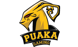 PUAKA GAMING