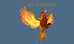 GO PHOENIX