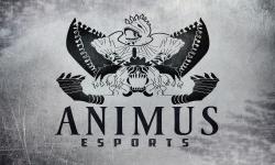 Animus E-Sports