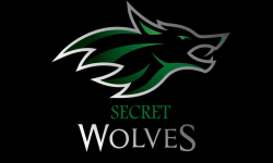 Secret Wolfes