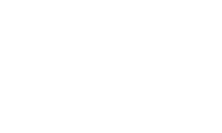 team of idiots