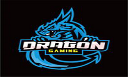 Dragon Gaming