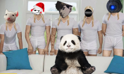 5 Caregivers and a Panda