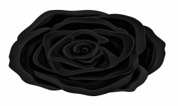 Black Rose